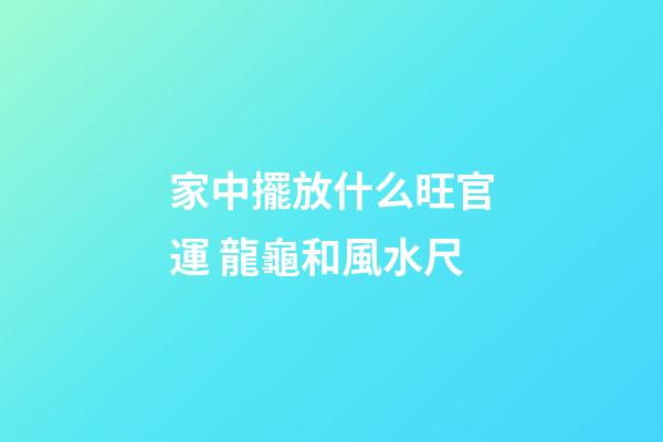 家中擺放什么旺官運 龍龜和風水尺